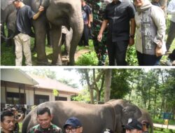 Ketua DPRD Lampung: Atensi Presiden Jadikan Way Kambas Percontohan Nasional Harus Dikawal Bersama