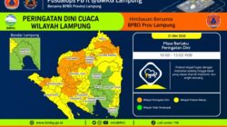Lampung Siaga Cuaca Ekstrem! BPBD Ingatkan Ancaman Hujan Petir dan Angin Kencang