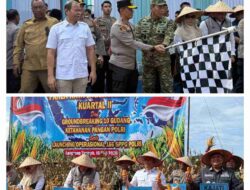 DPRD Provinsi Lampung Dukung Penguatan Ketahanan Pangan Melalui Panen Raya Jagung Serentak