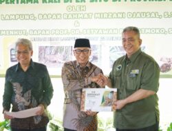 Dua Anak Harimau Sumatera di Lembah Hijau Resmi Diberi Nama, Jadi Simbol Harapan Baru